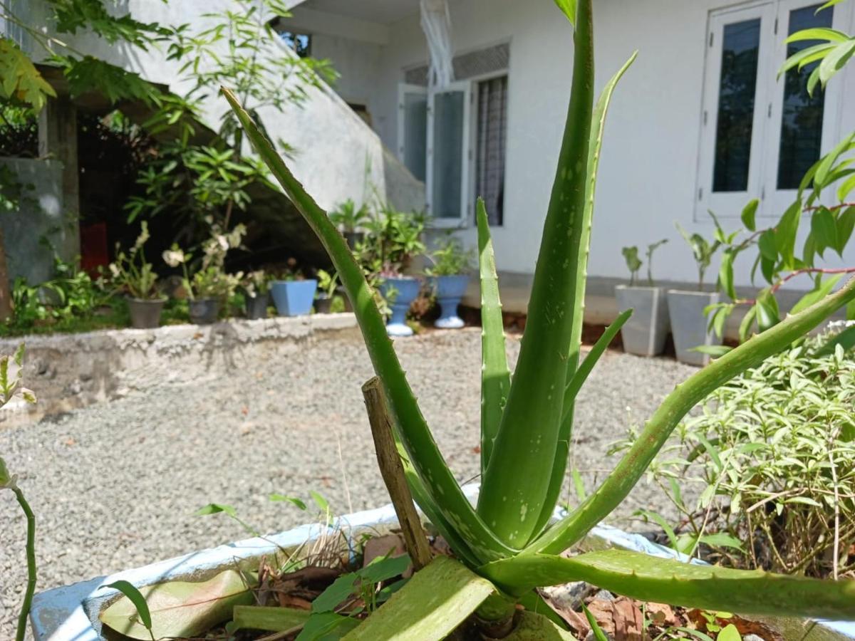 Villa Diamond Nest Унаватуна Экстерьер фото